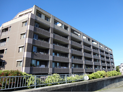 現地外観写真 外観