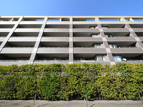 現地外観写真 DSC_1786