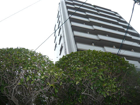 その他共用部　外観7