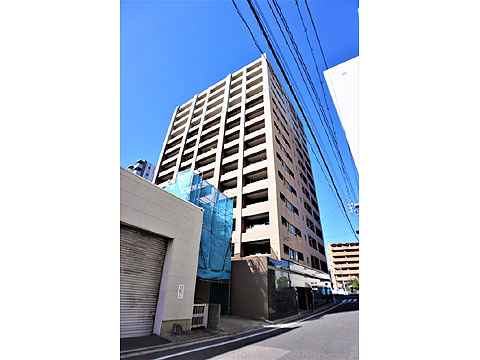 現地外観写真 外観南