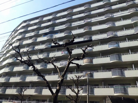 その他共用部　外観7