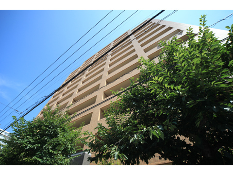 その他共用部 アプローチ