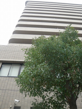 その他共用部　外観5