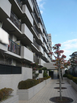 その他共用部　写真1