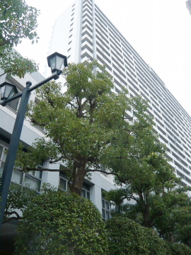 その他共用部　外観3