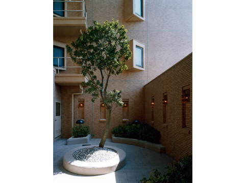 その他共用部　中庭