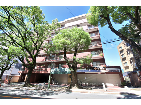 その他共用部 外観3