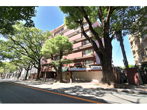 その他共用部 エントランス1