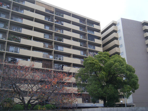 その他共用部 外観5