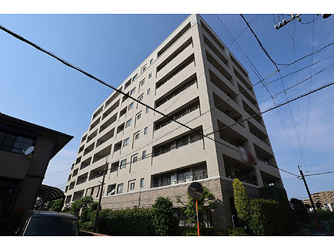 現地外観写真 マンション外観