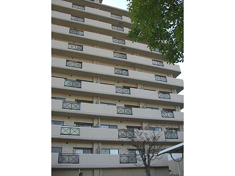 その他共用部 外観7