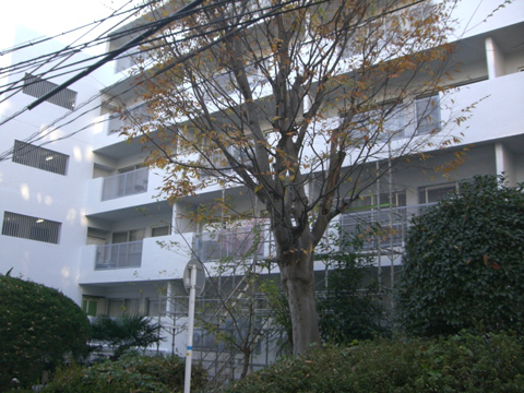 その他共用部 外観5