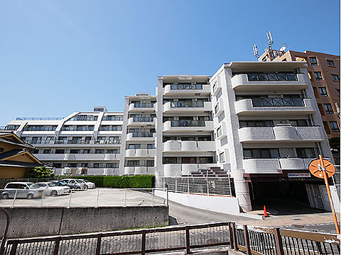 現地外観写真 マンション外観