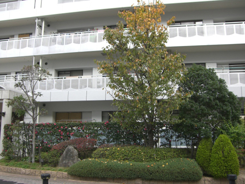 その他共用部　写真1