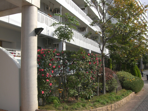 その他共用部　写真２