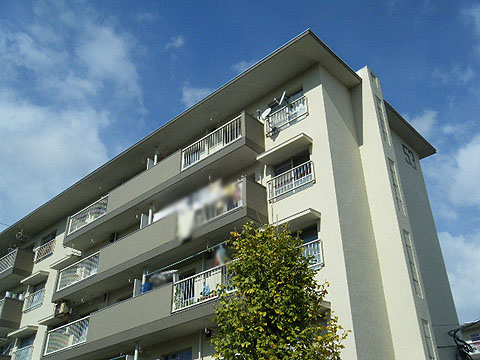 その他共用部　外観2