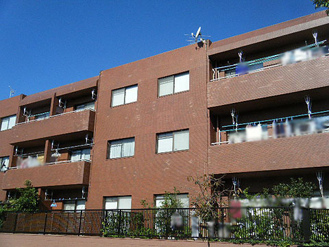 現地外観写真　南東側からの外観写真