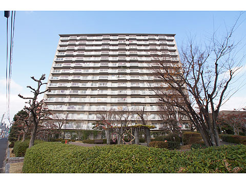 現地外観写真 マンション外観