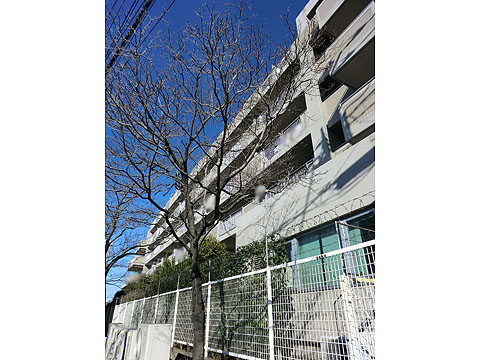 その他共用部　外観2