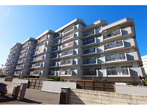 現地外観写真 外観