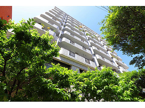 現地外観写真 IMG_7555