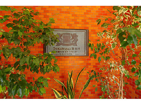 エントランス　IMG_9430