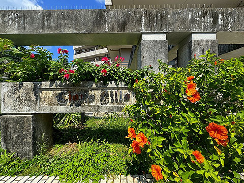 エントランス IMG_1134