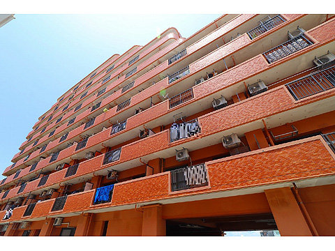 現地外観写真 IMG_4617