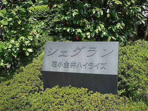 その他共用部 写真1