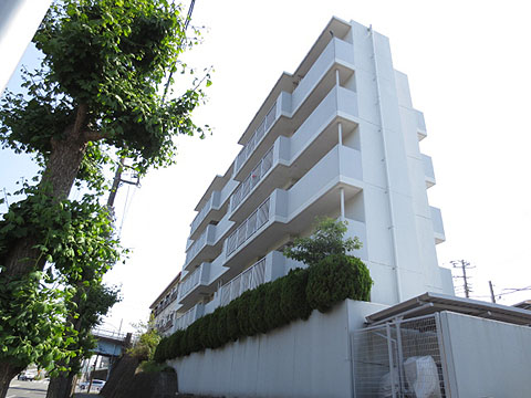 その他共用部　外観5