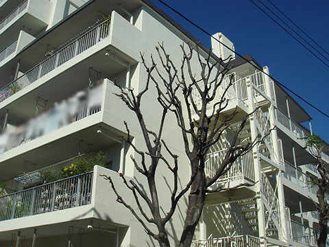 その他共用部 外観3