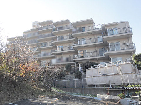 現地外観写真 外観