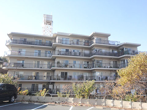 現地外観写真 外観