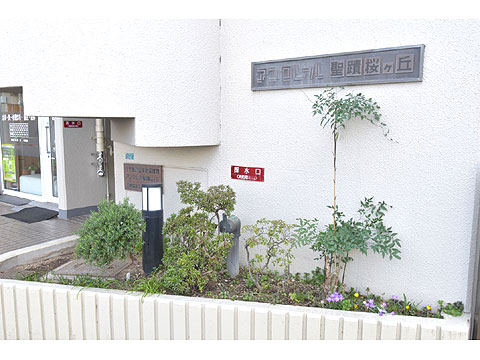 エントランス DSC_0091