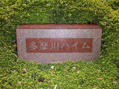 その他共用部 写真1