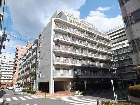 現地外観写真 外観