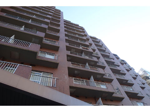 現地外観写真 外観1