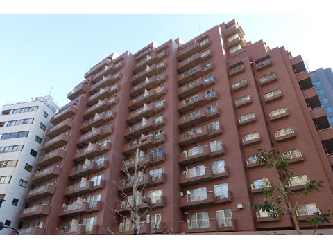 現地外観写真 外観4