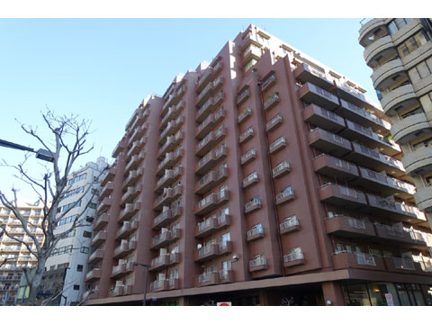 現地外観写真 外観7