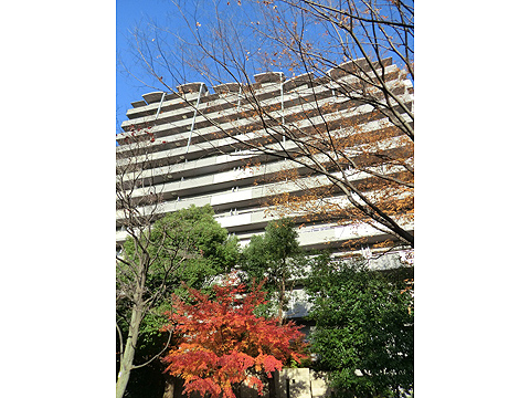 その他共用部　外観2