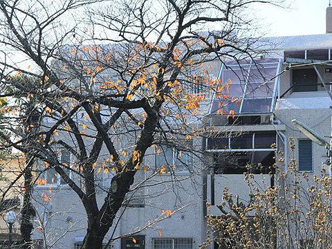 その他共用部　外観3