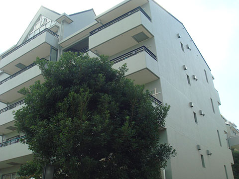 その他共用部　外観3