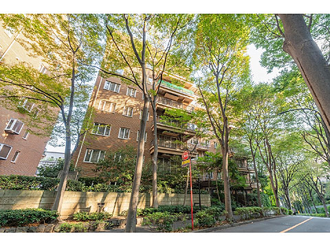 現地外観写真　現地外観写真