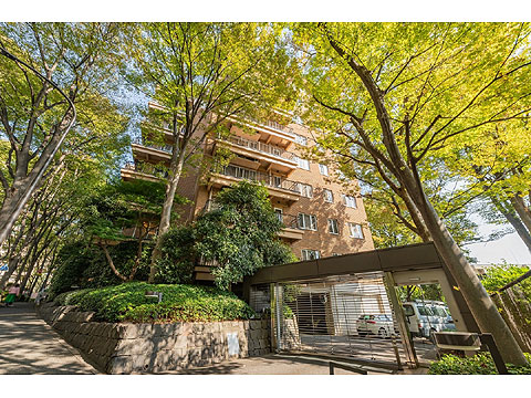 現地外観写真　現地外観写真