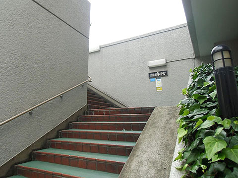 その他共用部 エントランス1