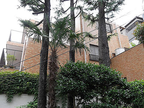 現地外観写真　外観1