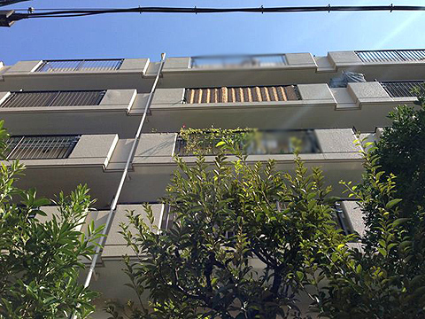 その他共用部　外観3