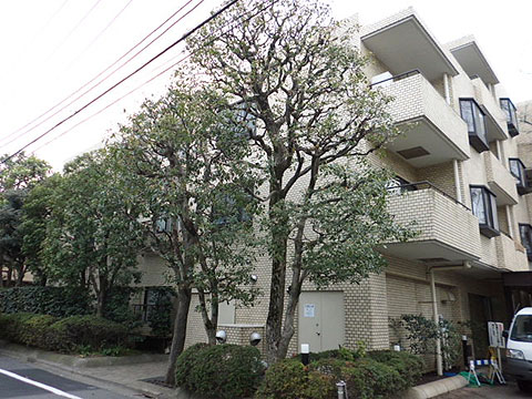 その他共用部　外観2