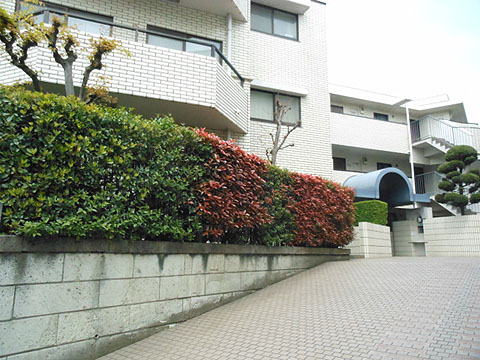 エントランス　エントランスアプローチ