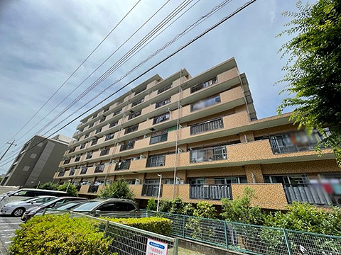 現地外観写真 外観